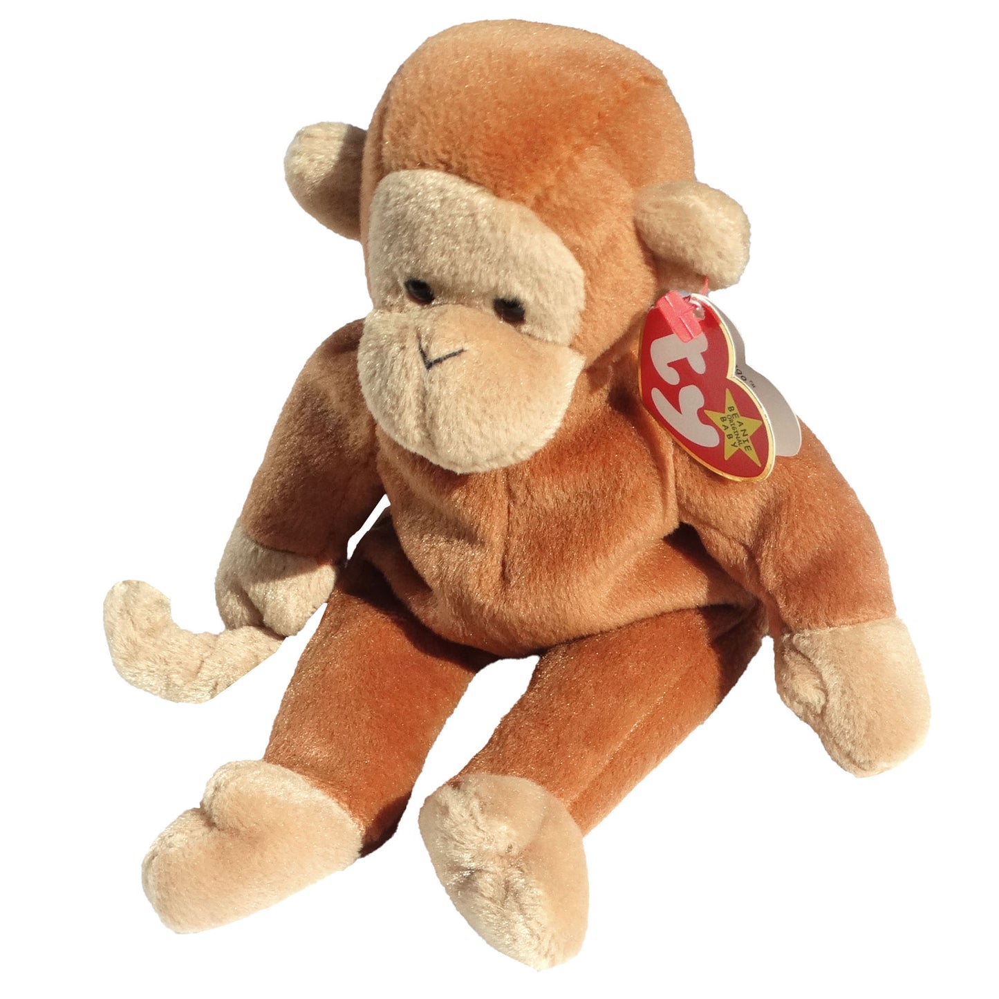 BONGO-Ty-Original-Beanie-Baby-Bear.-Angled-view.