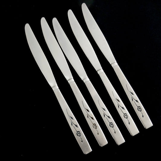 Capistrano-Staineles-by-Oneida-Silver-Dinner-Knife-Set.