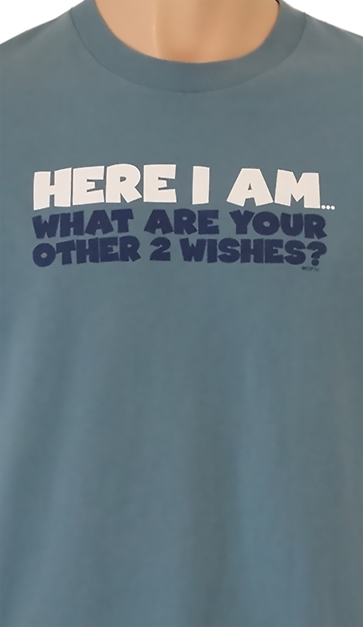 Here-I-Am-What-Are-Your-Other-2-Wishes-T-Shirt-Close-Up-View
