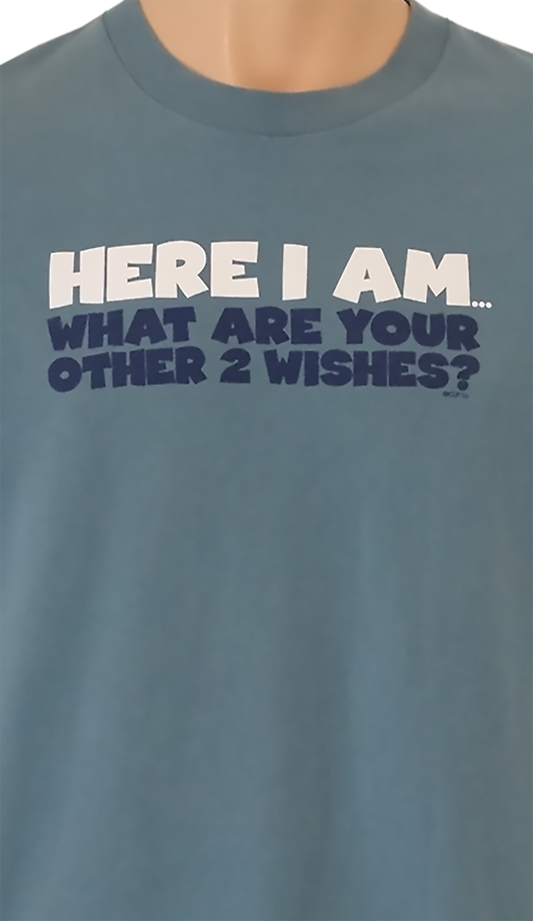 Here-I-Am-What-Are-Your-Other-2-Wishes-T-Shirt-Close-Up-View