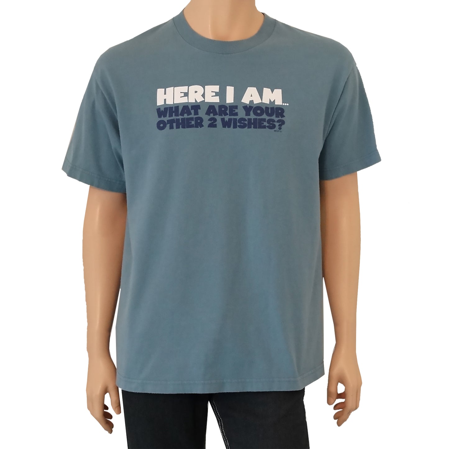 Men's-Short-Sleeve-Blue-T-Shirt-with-the-saying: Here-I-Am-What-Are-Your-Other-2-Wishes?