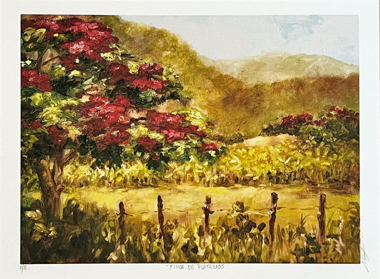 Monica-Linville-Finca-de-Platanos-Framed-Lithograph.-Hand-Signed.-Shop-eBargainsAndDeals.com