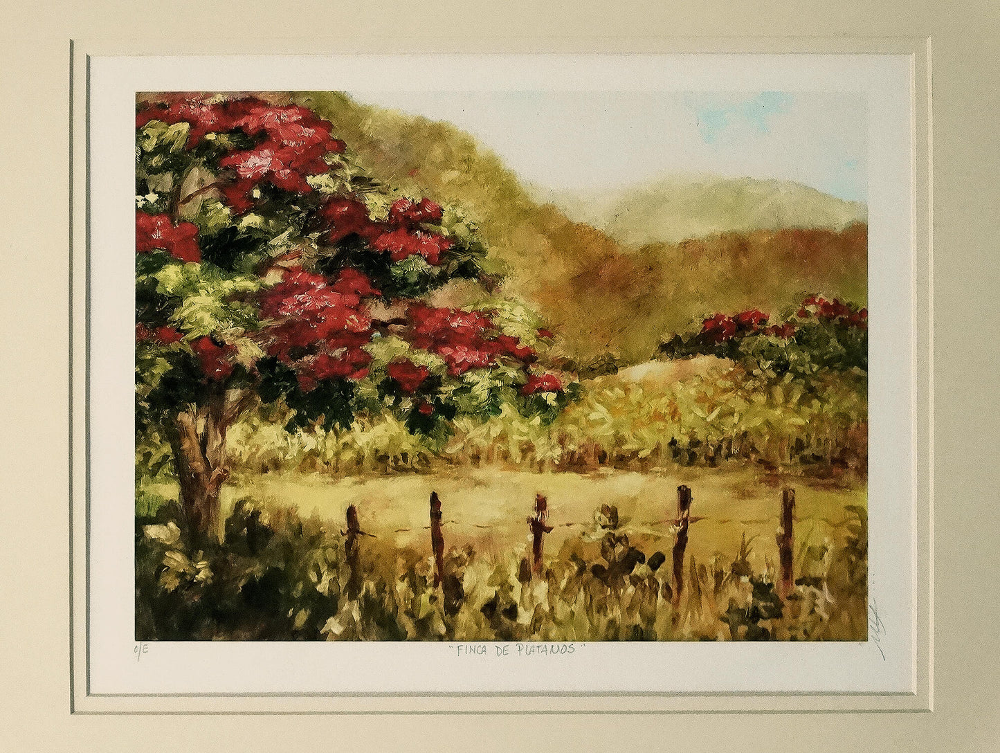 Monica-Linville-Finca-de-Platanos-Framed-Lithograph.-Hand-Signed.-Unframed-view-2..-Shop-eBargainsAndDeals.com