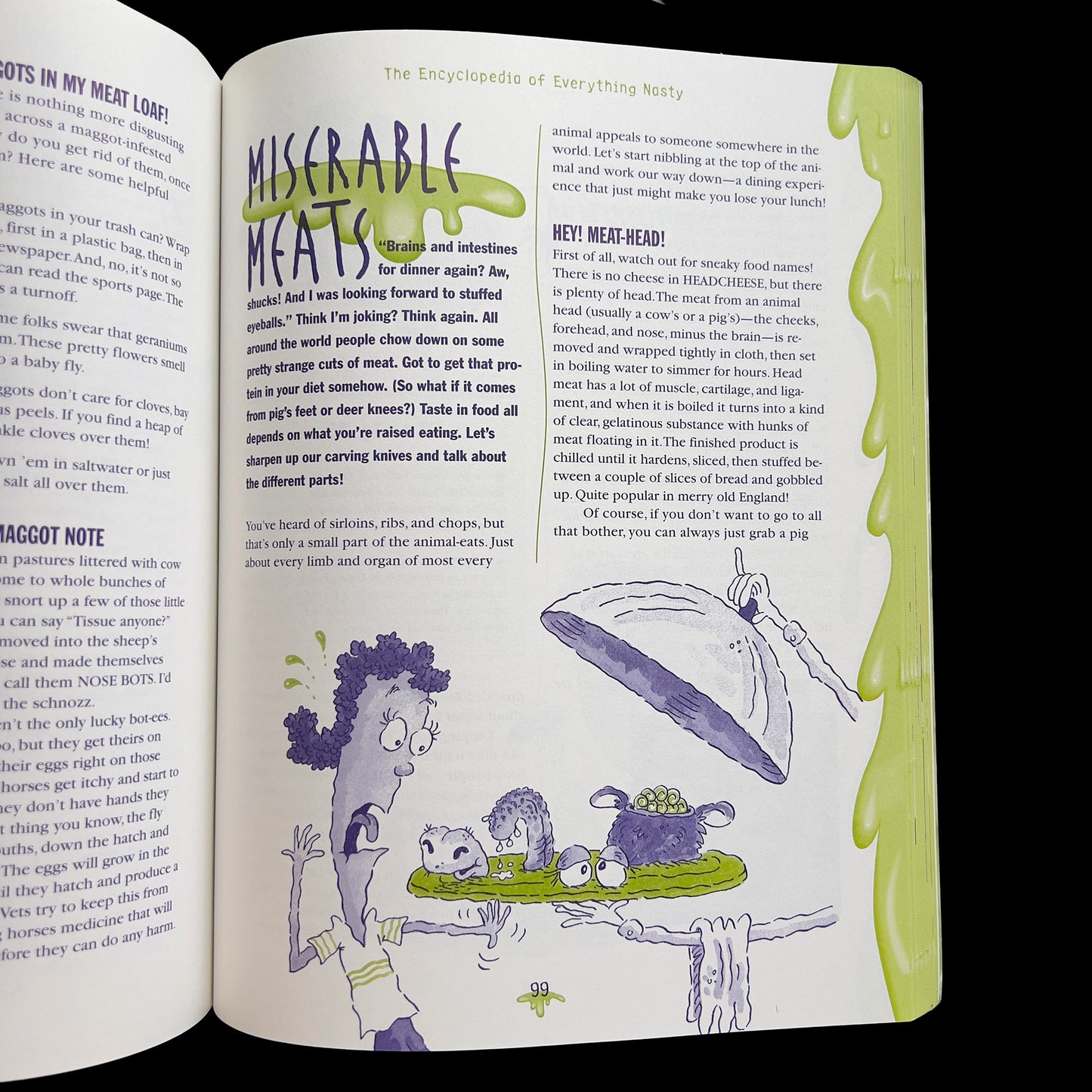 Open book with fascinating illustrations and text on a white background