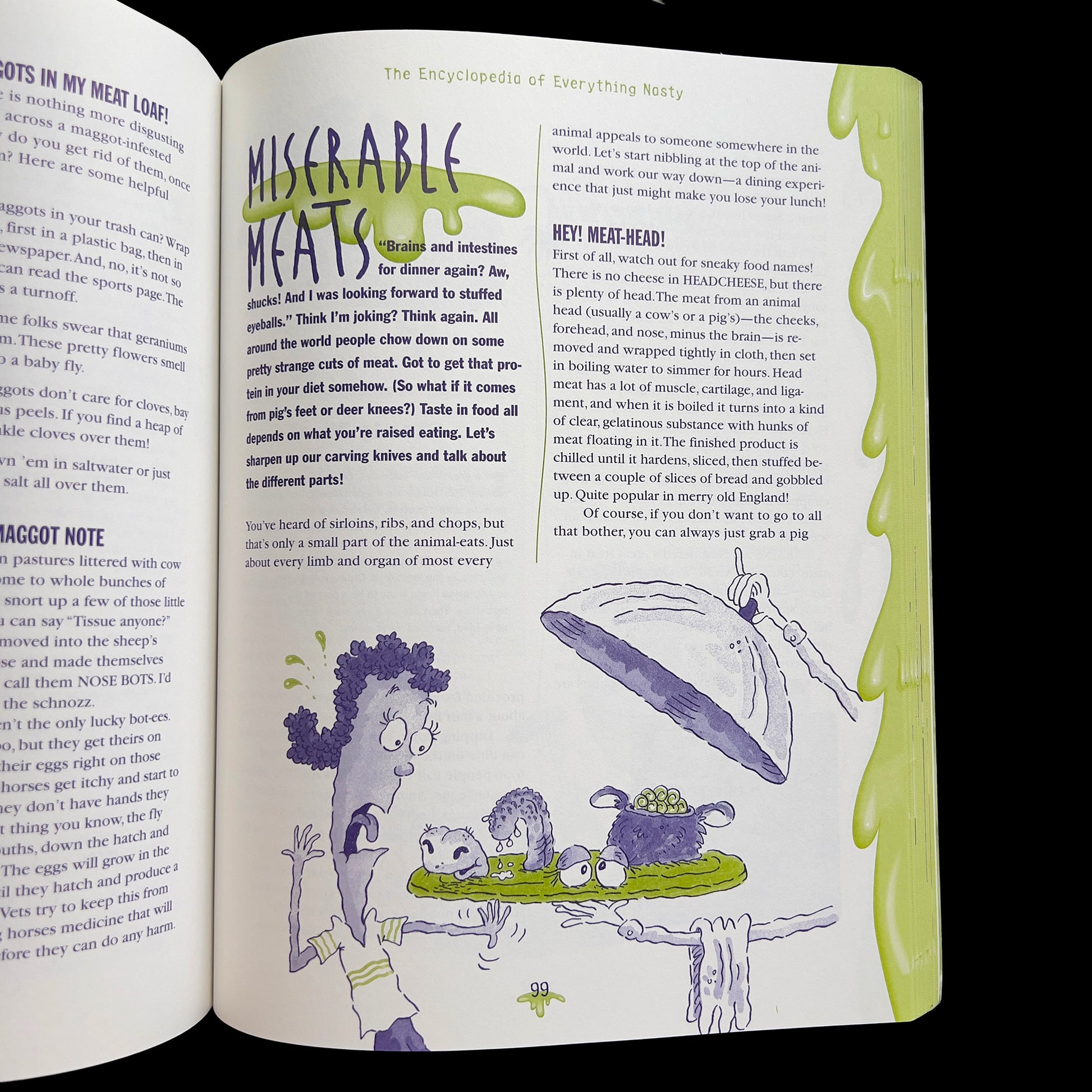Open book with fascinating illustrations and text on a white background