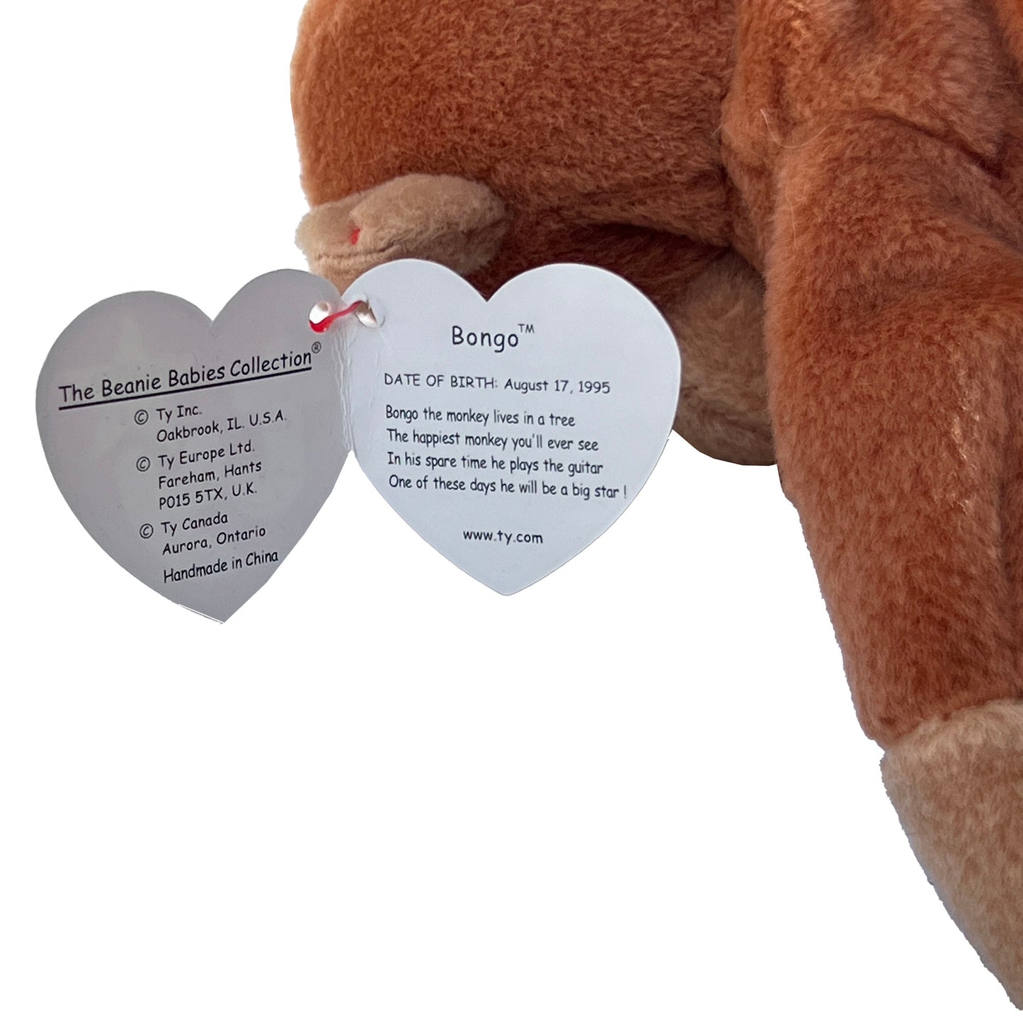 TY-Inc.-Bongo-Bear.-1995-Original-Beanie-Baby-Tag-showing-name-and-birthdate