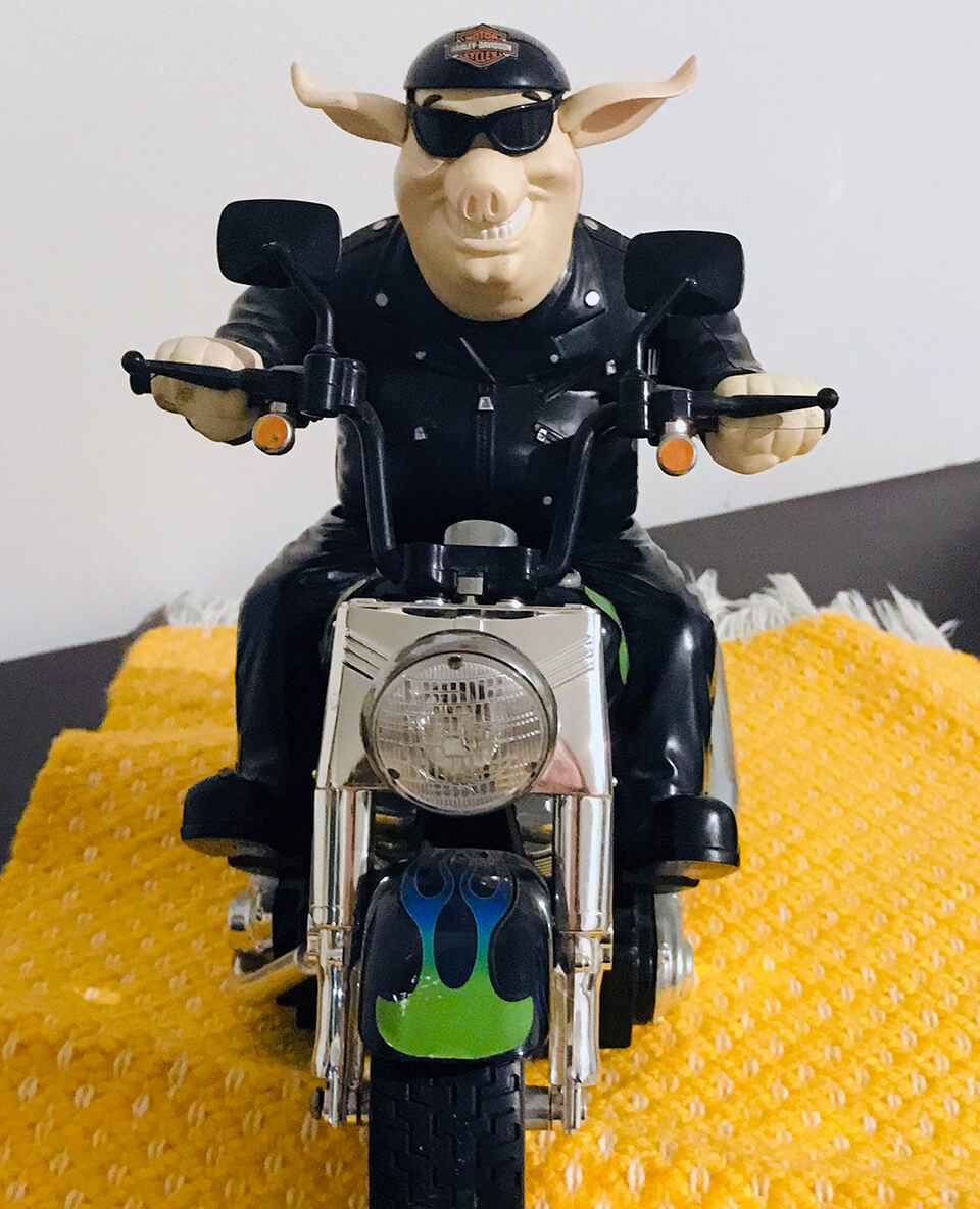 Motorcycle-Riding-Harley-Pig-Hog-Musical-Toy.jpg