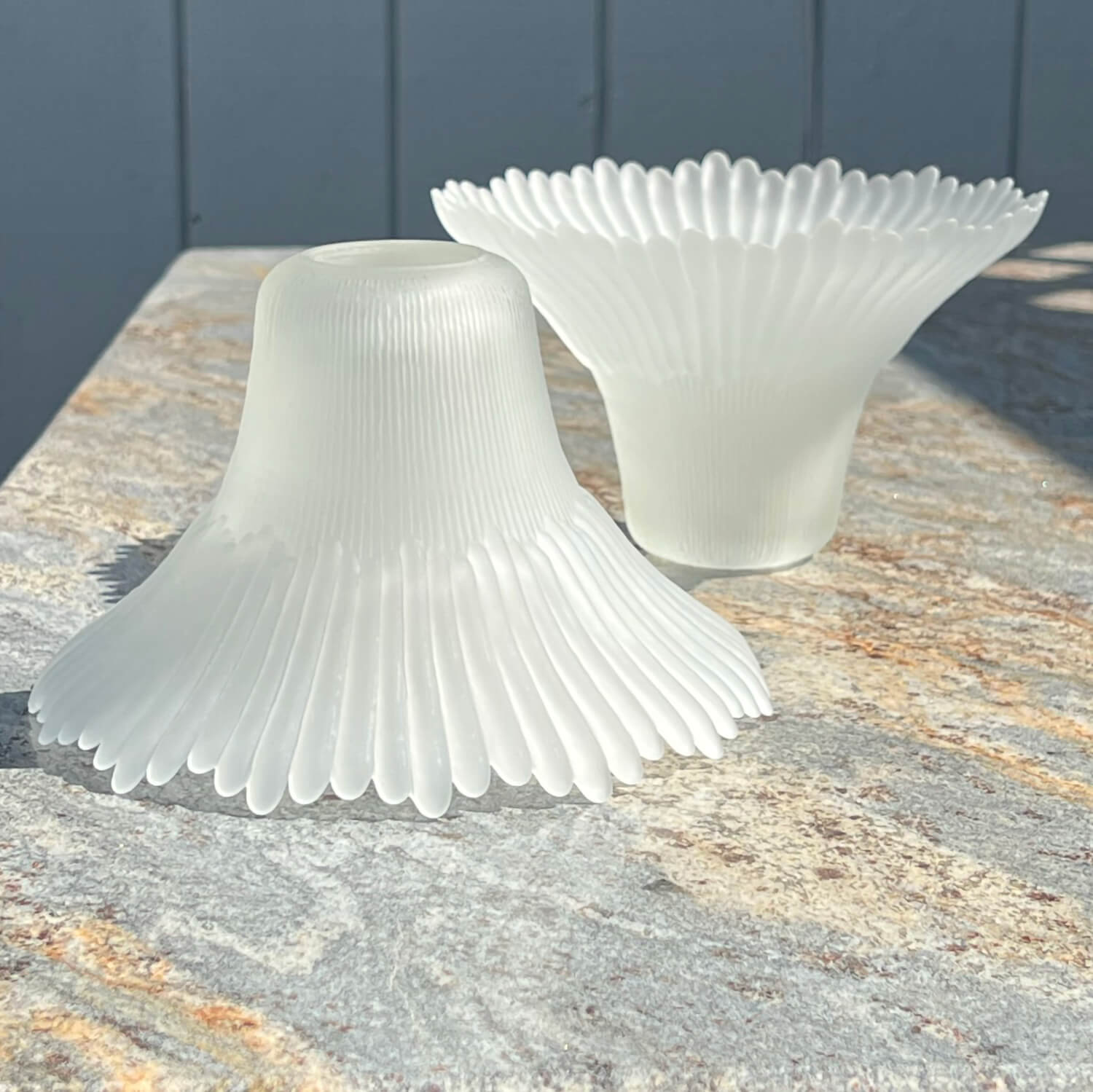Ribbed-flower-petal-bell-lamp-and-fan-replacement-glass-shade.-One-facing-up,-one-facing-down