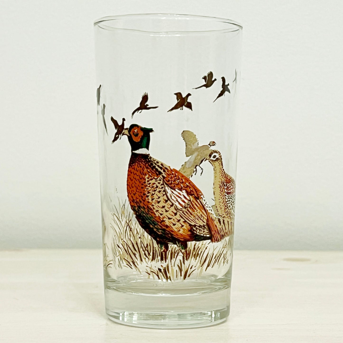 Wild-Bird-Highball-Glasses. Close-up-view