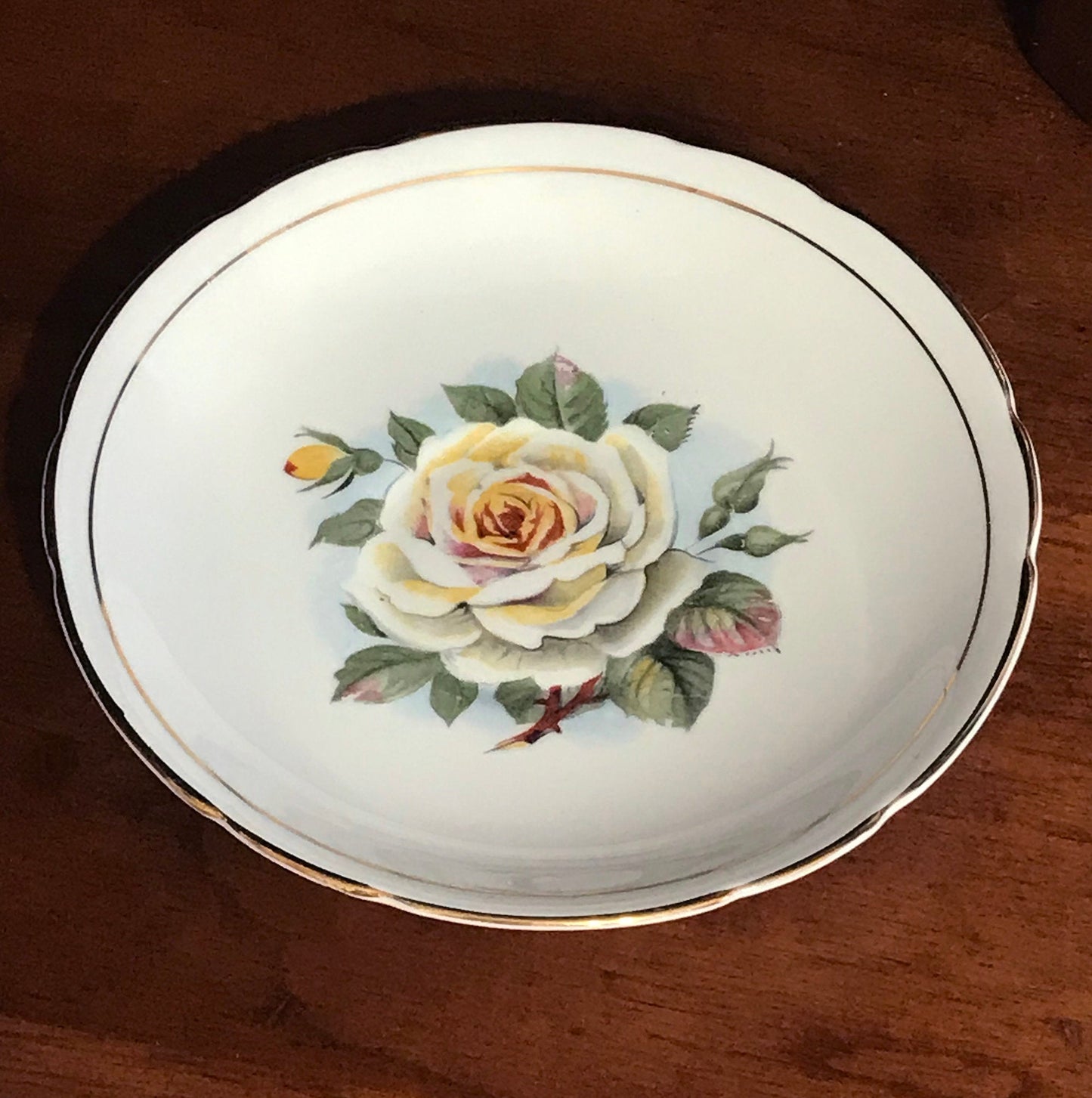 Regency Bone China Yellow Rose Cup Saucer