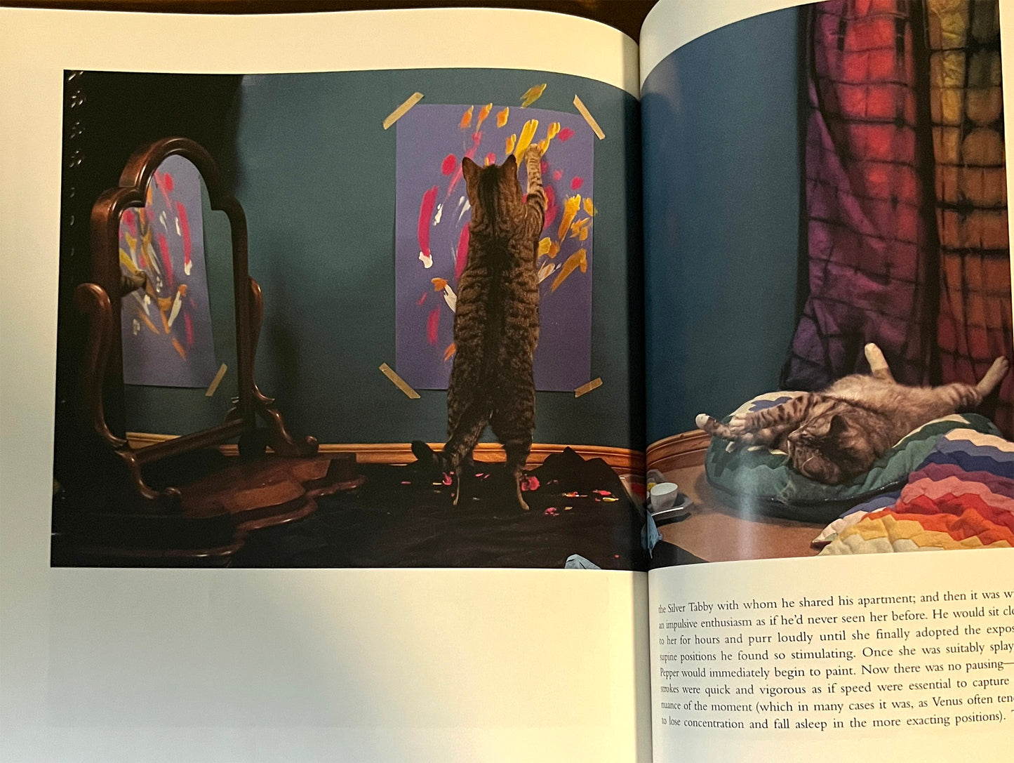 Open book showing a cat painting with with his paws.