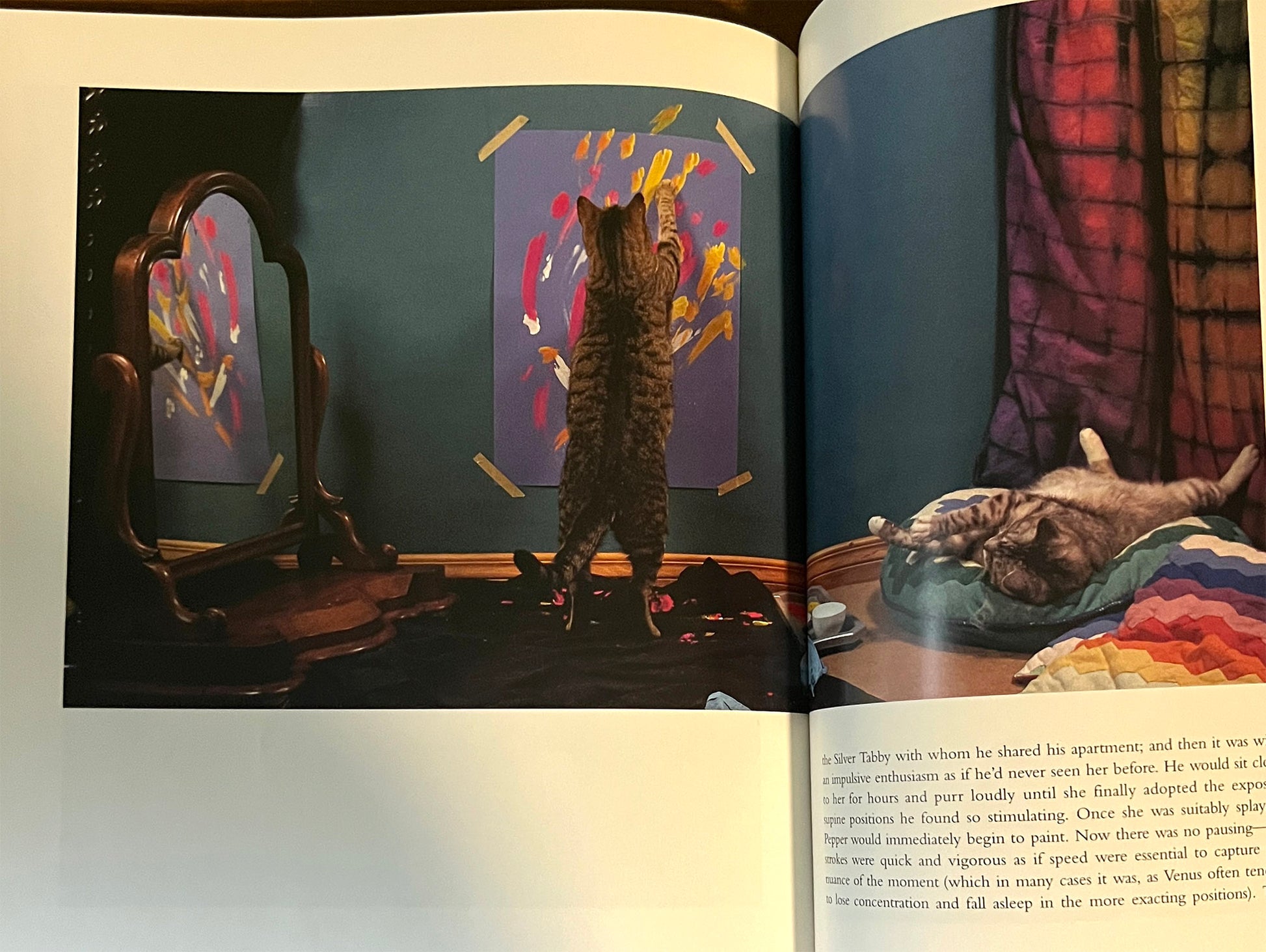 Open book showing a cat painting with with his paws.