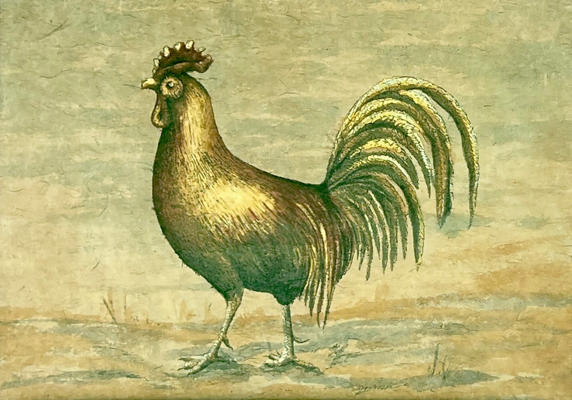 Banafshe-Schippel-Rooster-Print.-Close-Up-View.-Shop-eBargainsAndDeals.com