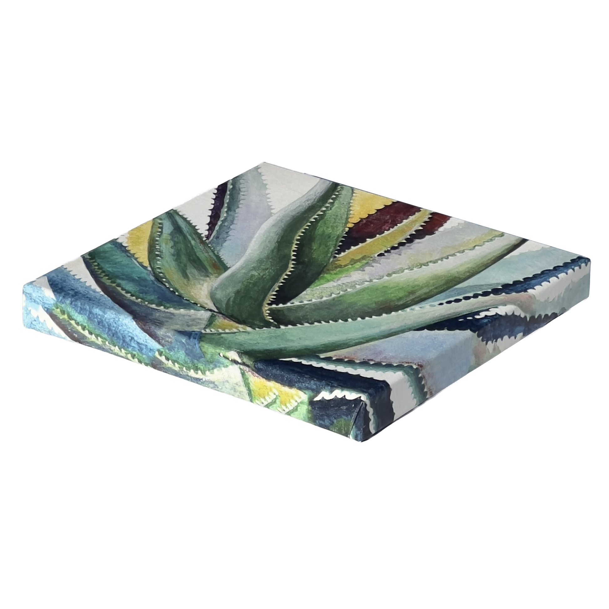 Brilliant_Succulents_-_Canvas_Wall_Art_-_Norman_Wyatt_Jr