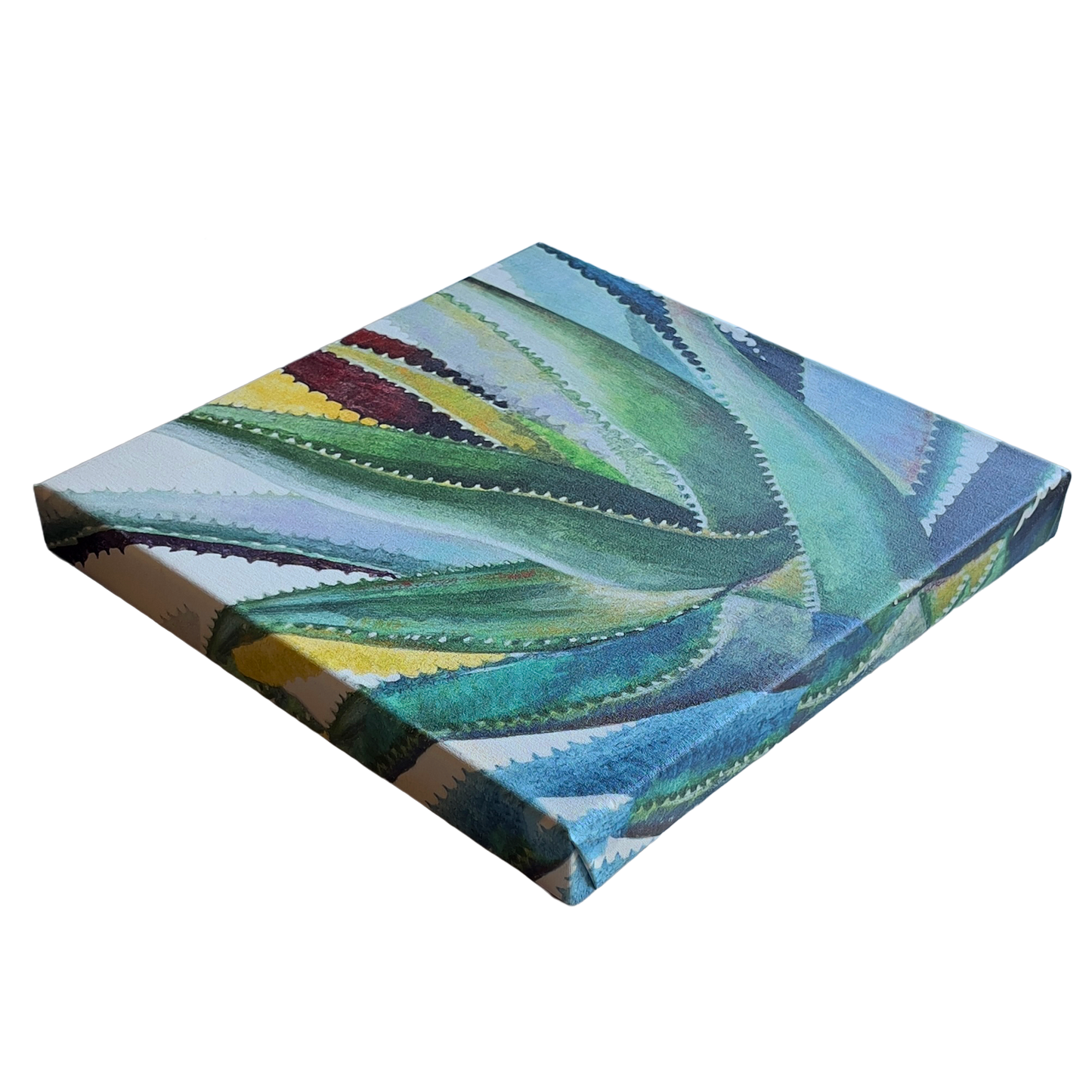 Cacti-Wall-Art-on-Canvas_-Norman-Wyatt-Jr._b-12x12