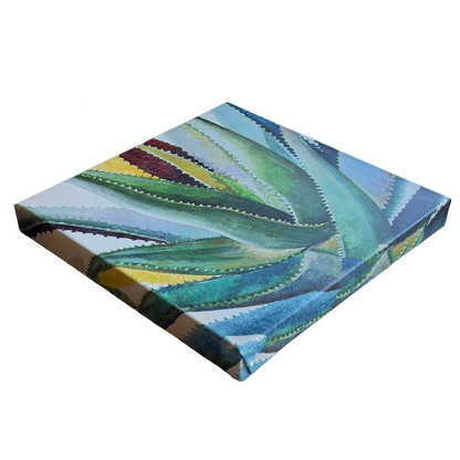 Cacti-Wall-Art-on-Canvas_-Norman-Wyatt-Jr._b-12x12