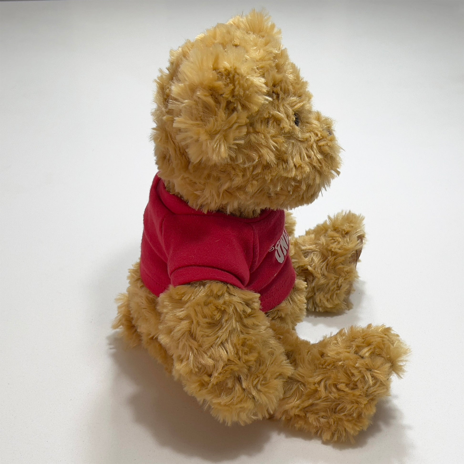 Chelsea-Traditional-Teddy-Bear-UNLV.-Side-view