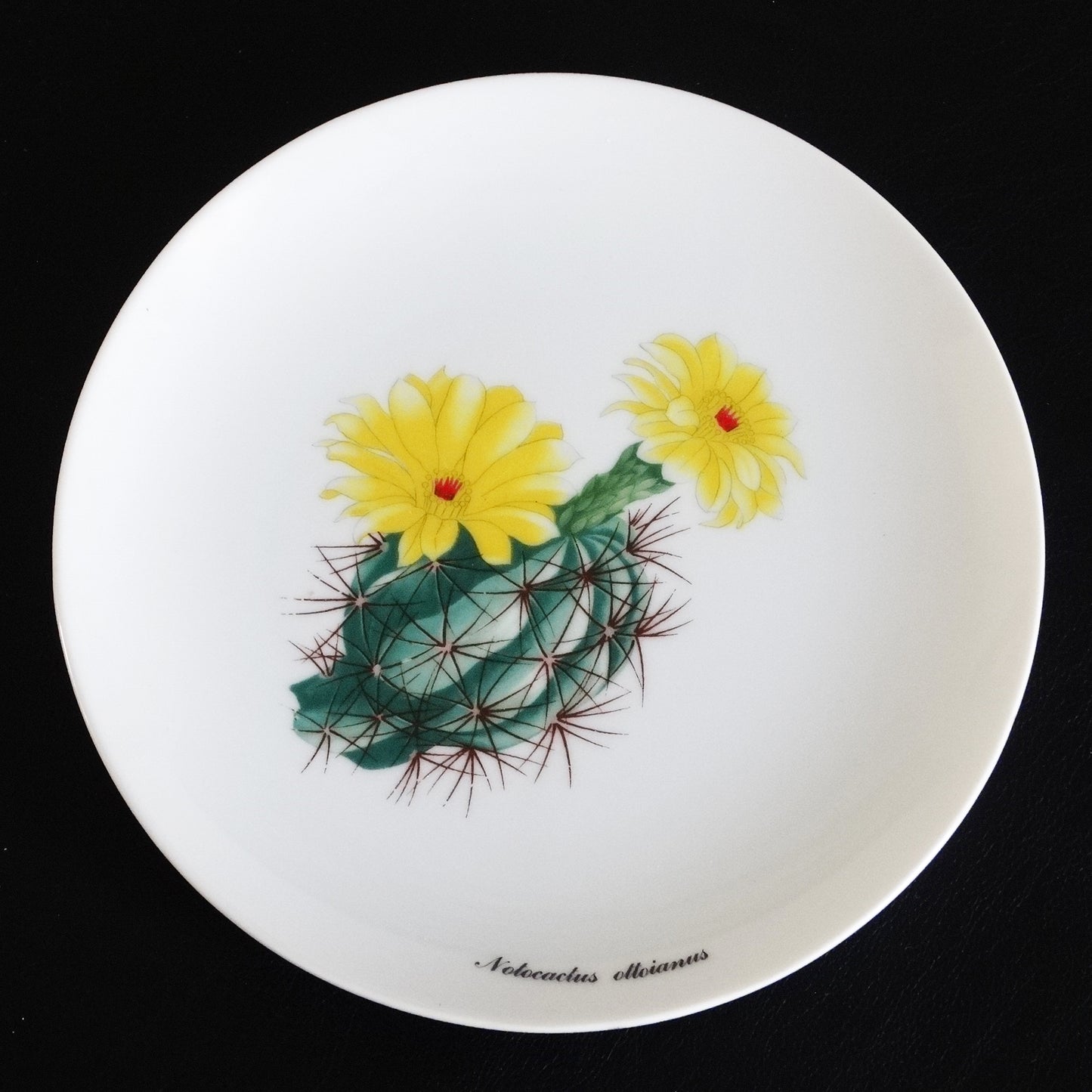 Desert-Flower-Cactus-Plates-by-Shafford.-Yellow-Cacti.--Shop-eBargainsAndDeals.com