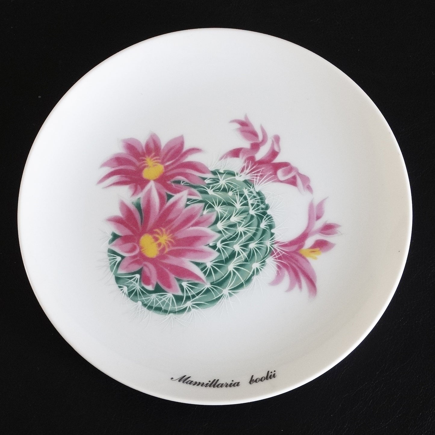 Desert-Flower-Pink-Cactus-Plates-by-Shafford.-Set-of-3.-Shop-eBargainsAndDeals.com