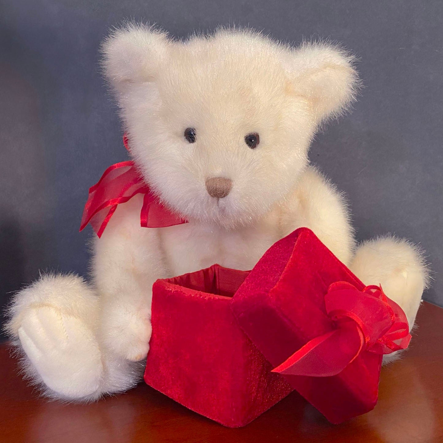 GUND-Vintage-Teddy-Bear-44561.-Velvet-Gift-Box.-Front-view.