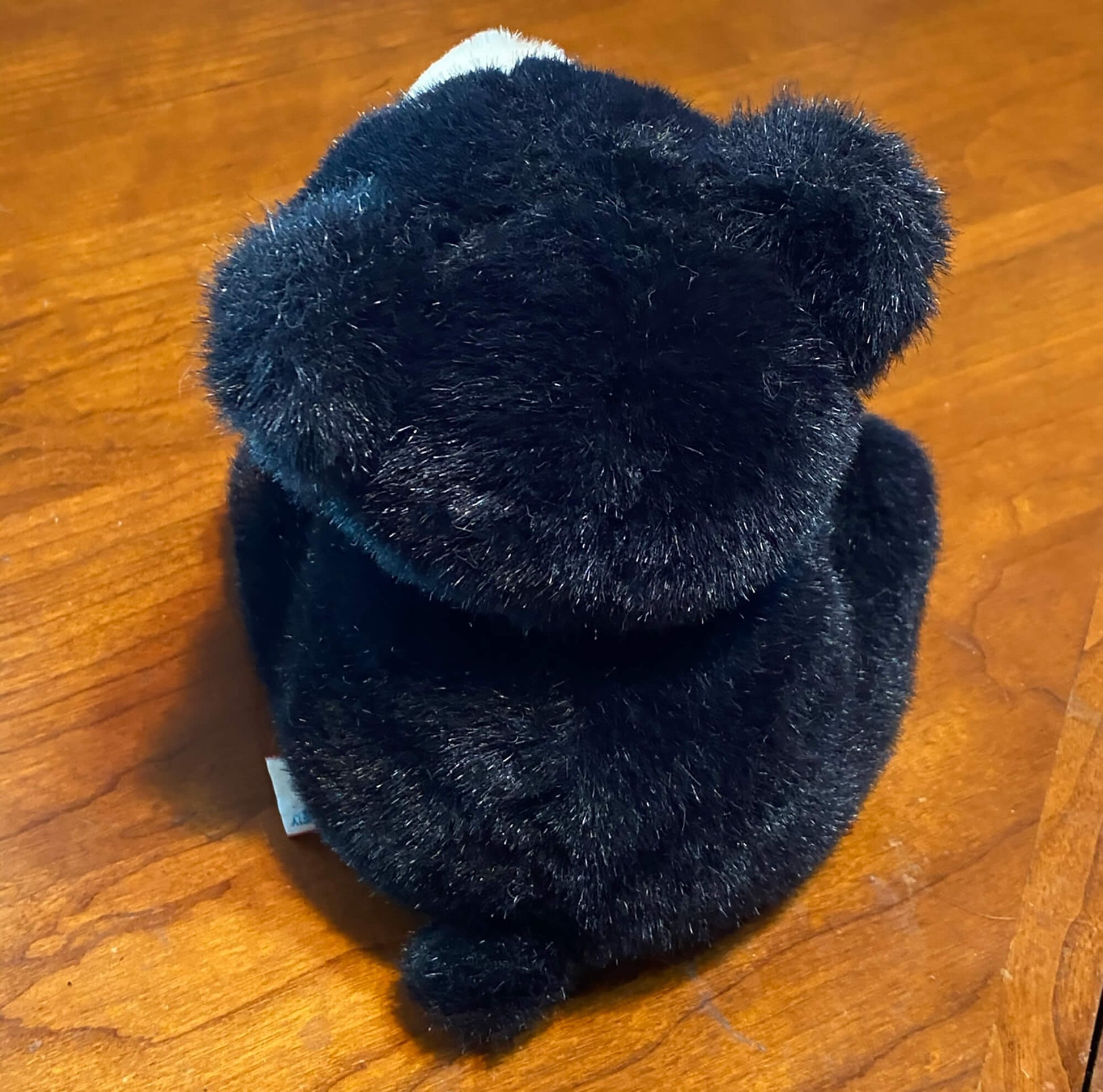 Hallmark-Valentine-Black-Panda-Bear-back-view