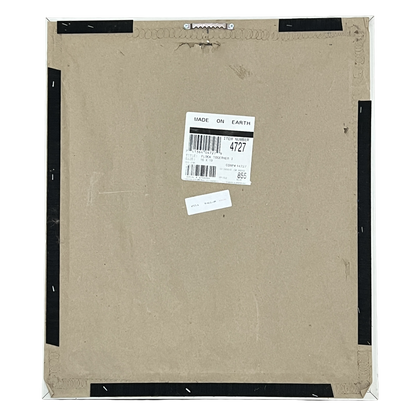 M. COLLINS FLOCK TOGETHER 1 - 16" x 19" Framed Bird Print, Artist Signed