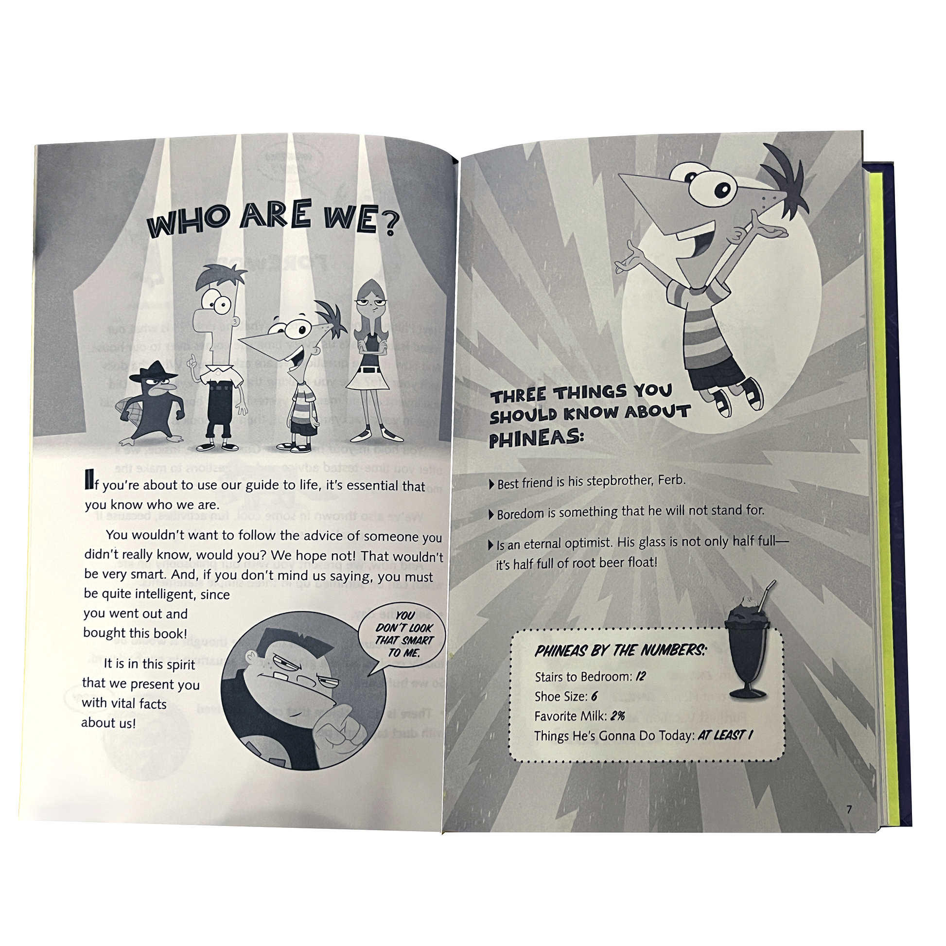 Phineas-and Ferb-Book-Opened to Page, Who-Are-We?