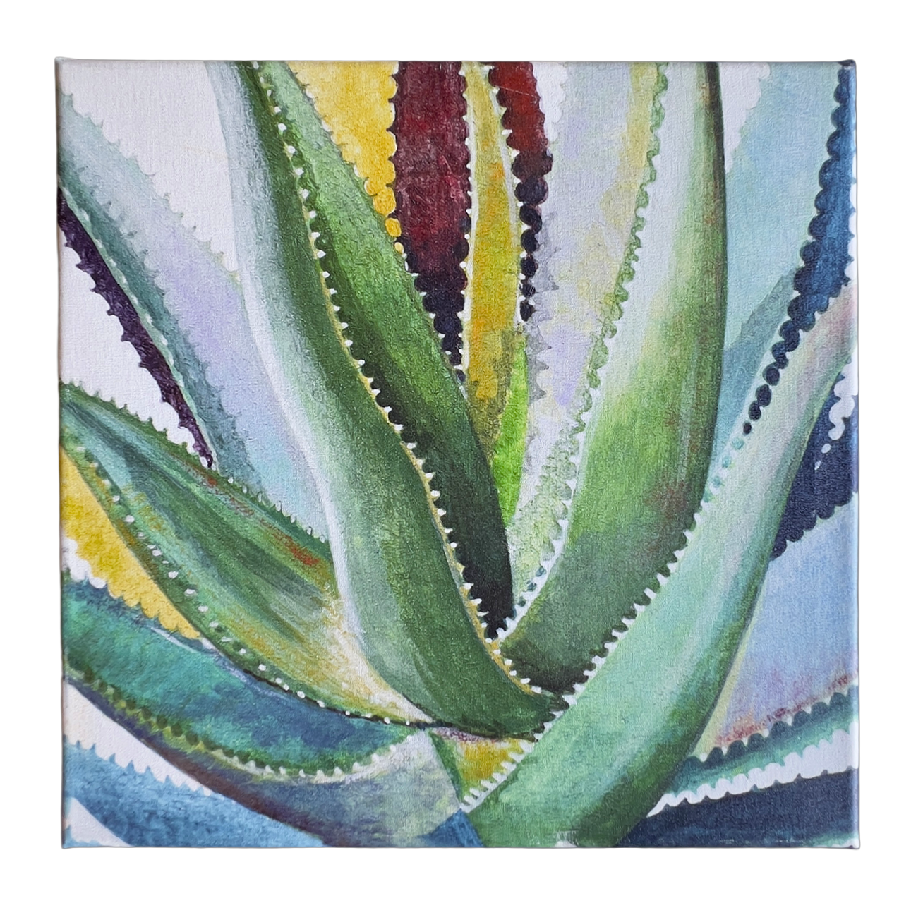 Ready-To-Hang-Succulents-Canvas-Art_-View-from-front