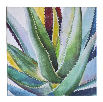 Ready-To-Hang-Succulents-Canvas-Art_-View-from-front