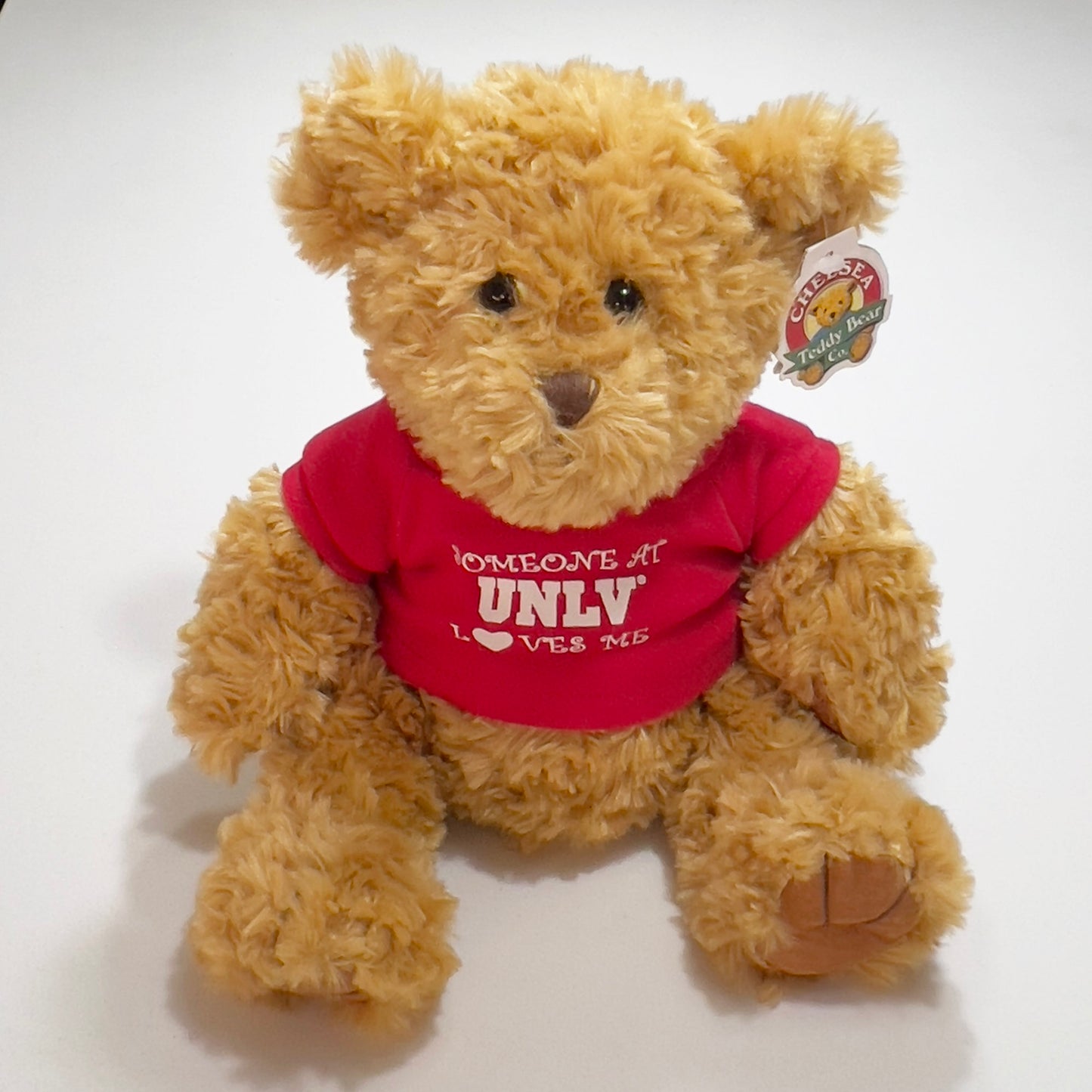 Someone-at-UNLV-Loves-Me-Chelsea-Teddy-Bear.-Front-view.