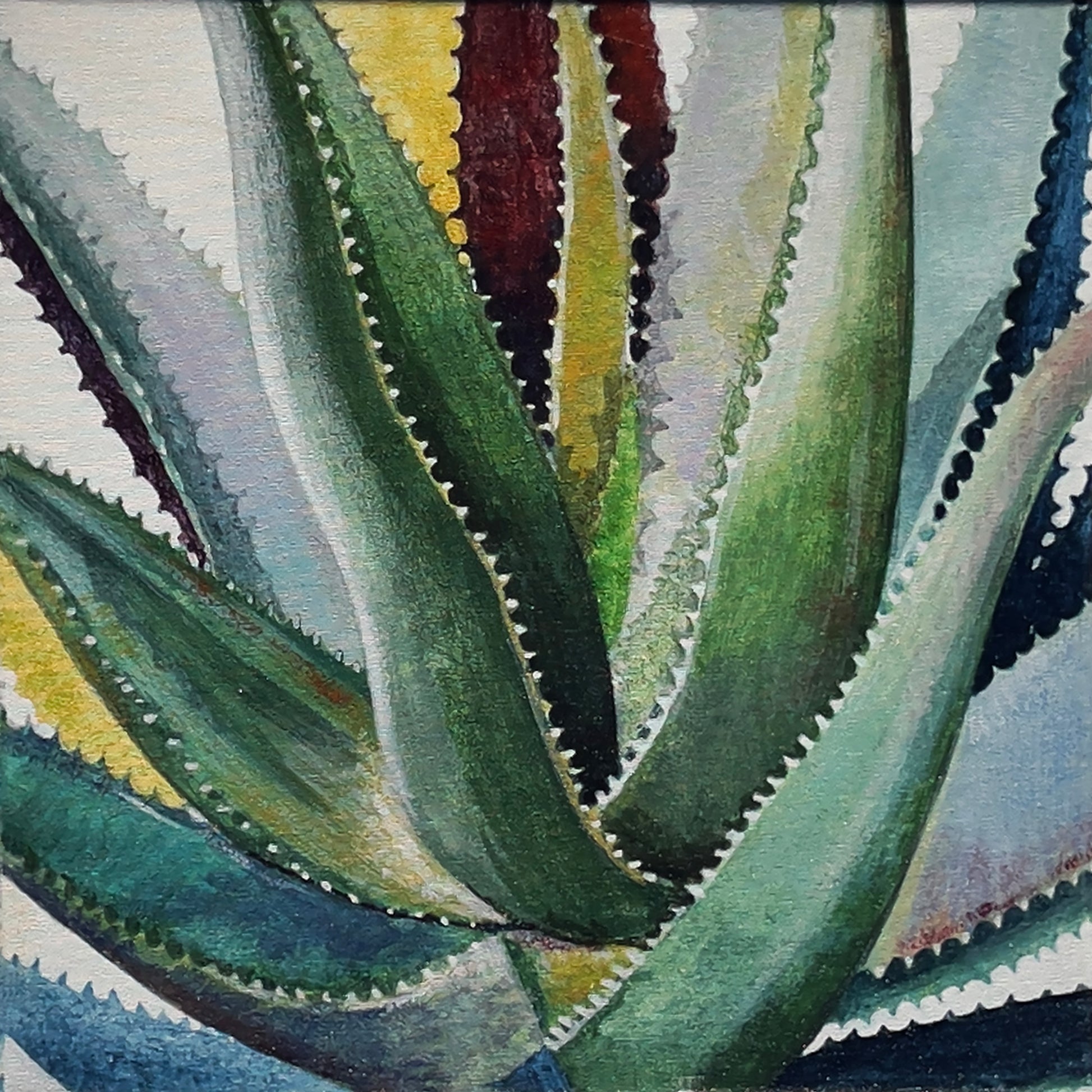 Wyatt_-Norman_-Brilliant-Succulents-Canvas-Wall-Art.-Close-up-view.