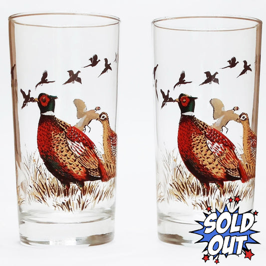 Vintage Libbey Wild Bird, Duck, Pheasant Highball Bar Glasses, Set of 2