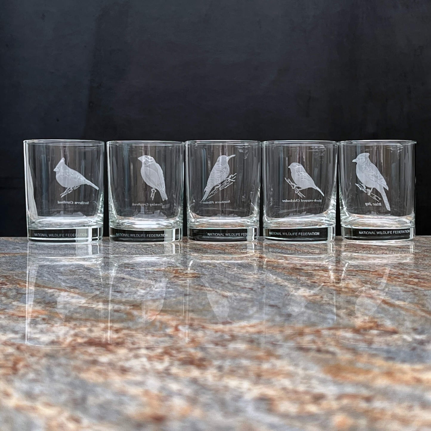 National-Wildlife-Federation-Wild-Bird-Old-Fashioned-Bar-Glass-Set_-Shop-eBargainsAndDeals