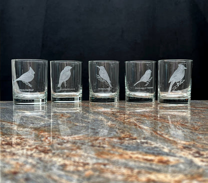 National-Wildlife-Federation-Wild-Bird-Old-Fashioned-Bar-Glass-Set_-Shop-eBargainsAndDeals