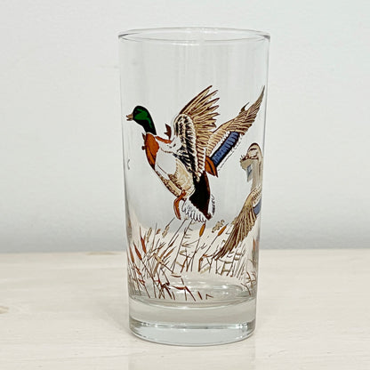 Wild-Bird-Highball-Glasses.-Vintage.-Shop-eBargainsAndDeals.com
